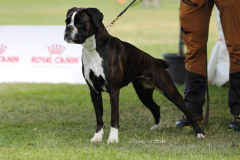 Lollo-Foto-Stand