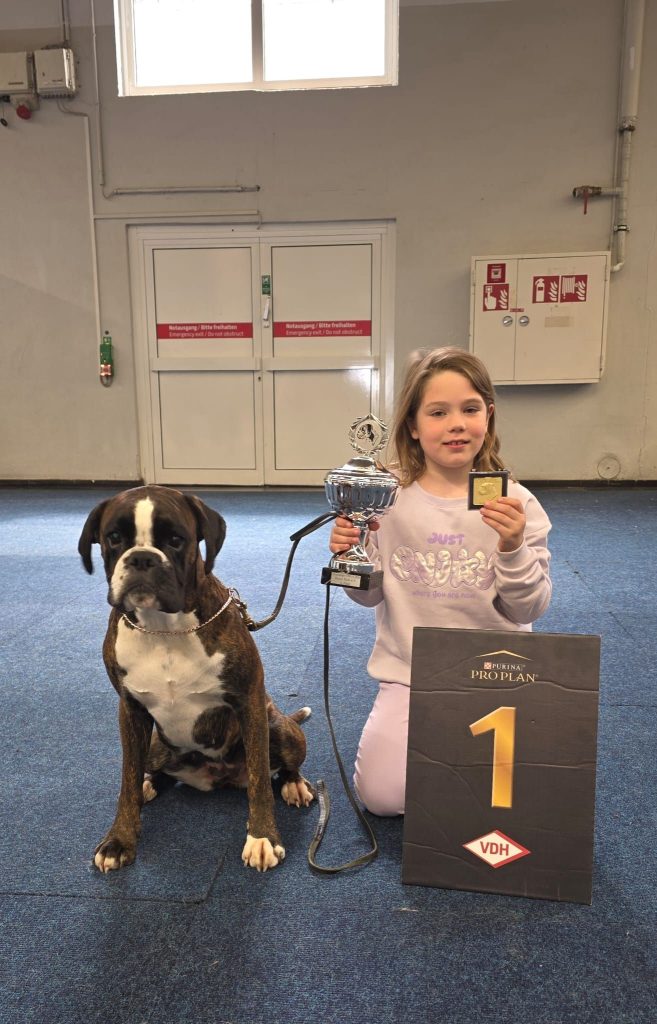 Europasieger Boxer